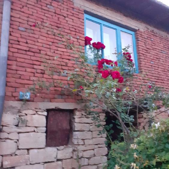 Casă cu 2 camere cu Teren 3506 Mp în Topa Mică