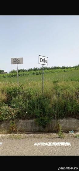 Teren de 5000 mp, în Copălău