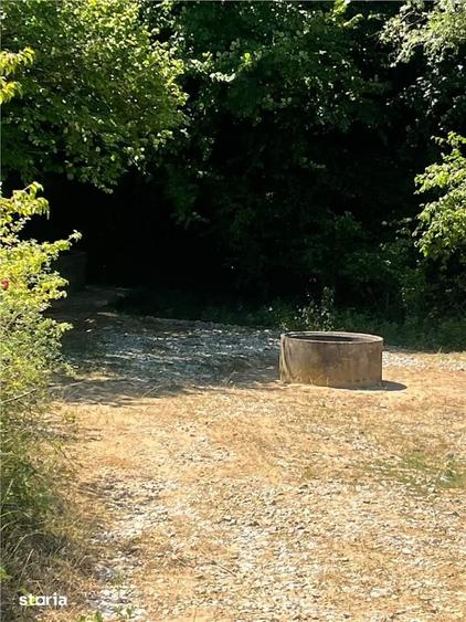 Teren de 21300 mp, în Lăzăreni