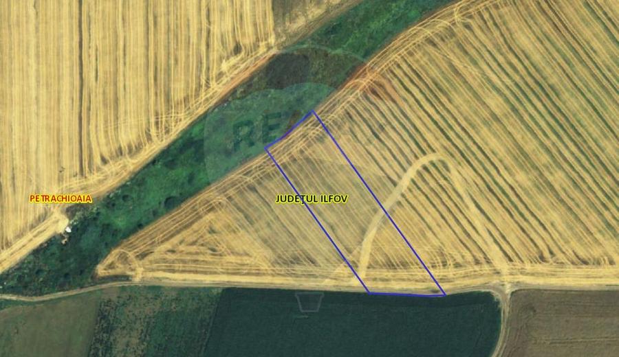 Teren agricol extravilan de 21300 mp, în Petrăchioaia