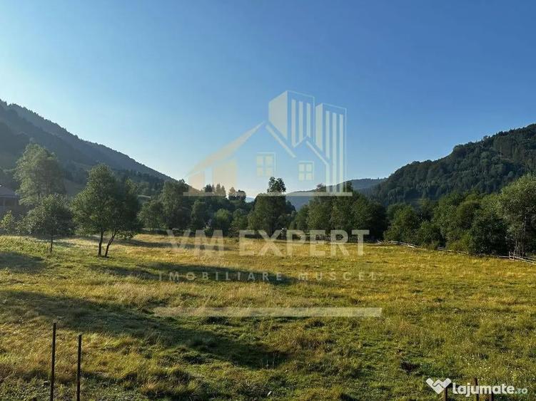 TEREN INTRAVILAN 500 MP SATIC- RUCAR - 1