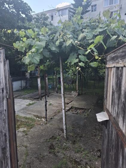 Teren Construcții intravilan de 300 mp, în Tractorul