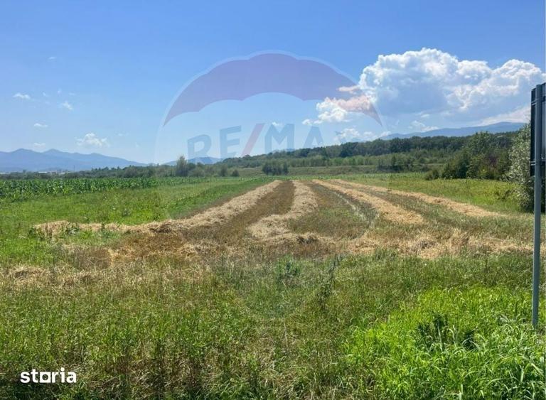 Teren de 14800 mp, în Central