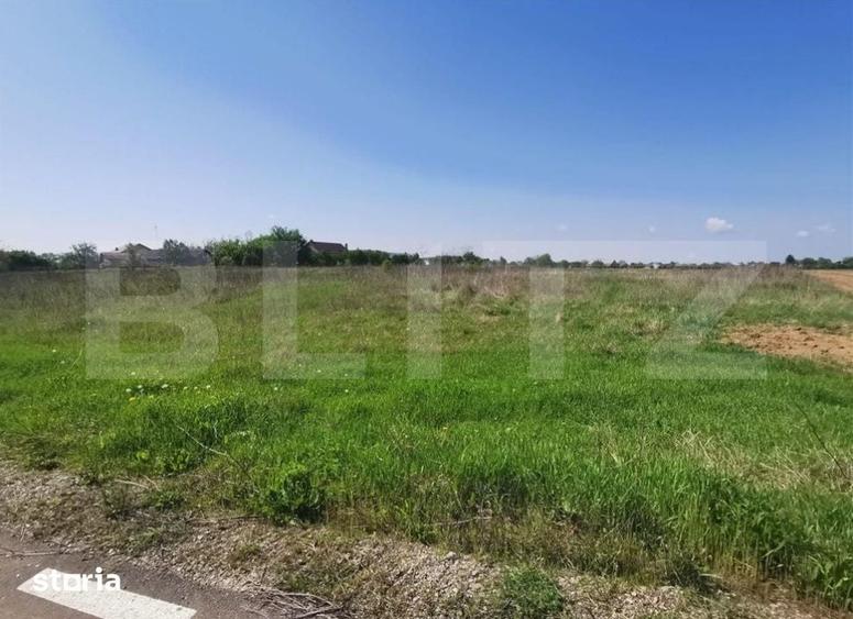 Teren de 4800 mp, în Nucet