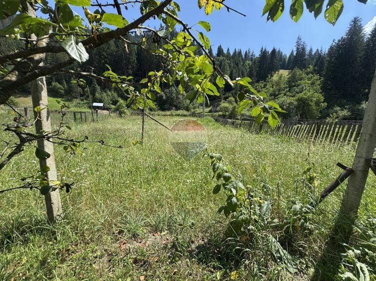 Teren Construcții intravilan de 1342 mp, în Borca
