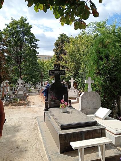 Teren în Central