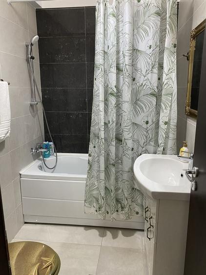 Apartament cu 2 camere în Alexandru cel Bun