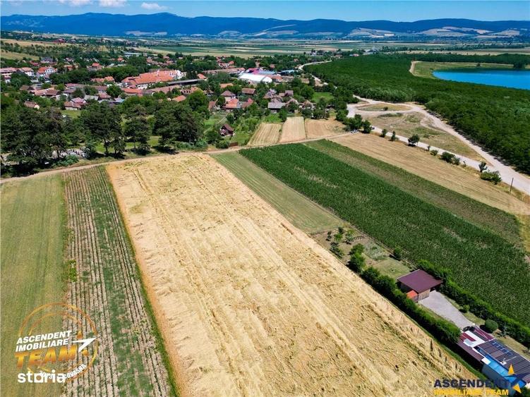 Spațiu comercial, în Valea Crișului