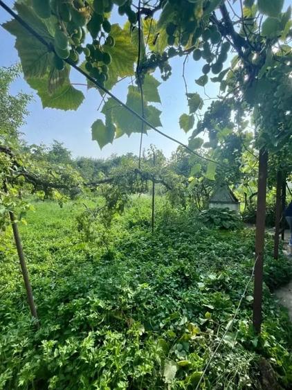 Casă cu 3 camere cu Teren 800 Mp în Siret