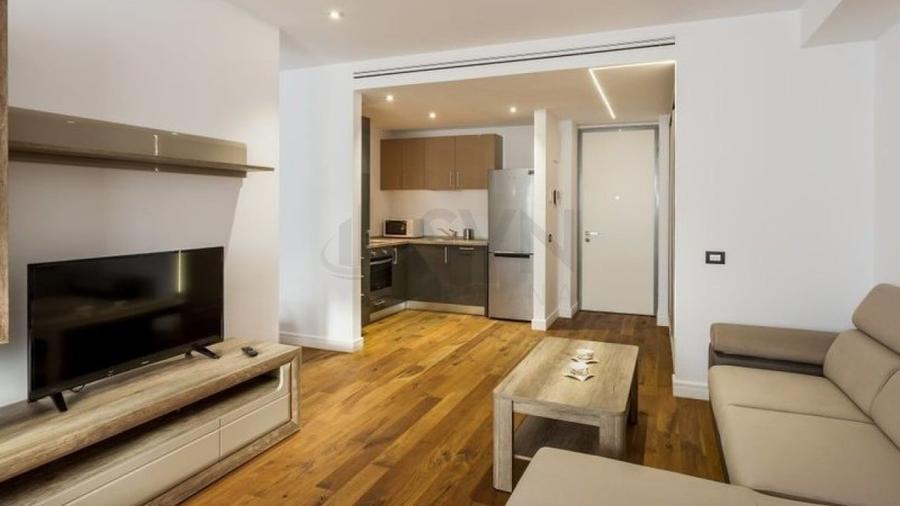 REA0133562 Herastrau l Cortina l Apartament 2 Camere - 3