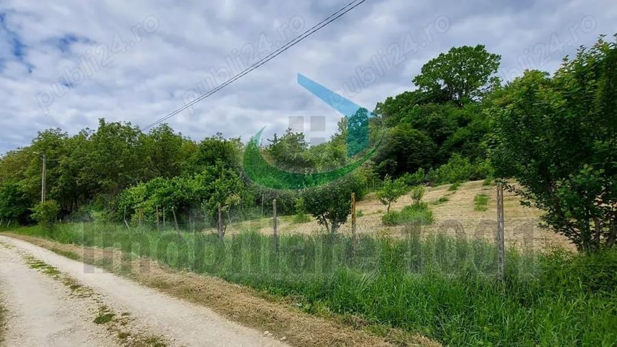 Teren de 2510 mp, în Șomcuta Mare
