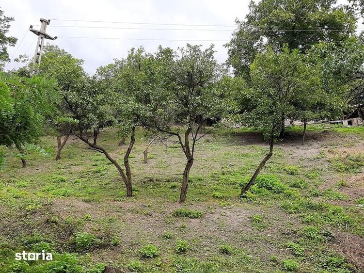 Teren de 1262 mp, în Chiojdu