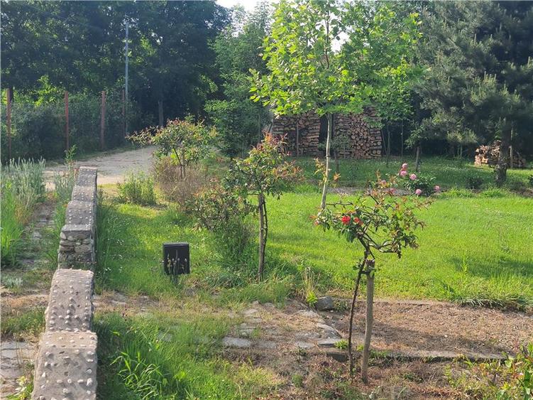 Teren agricol intravilan de 900 mp, în Săcel