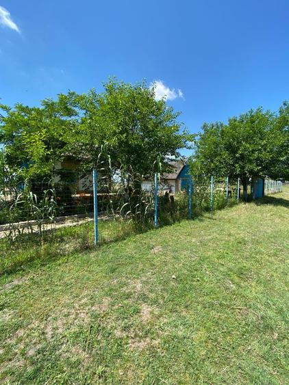 Casă individuală cu 6 camere cu Canalizare în Caraorman