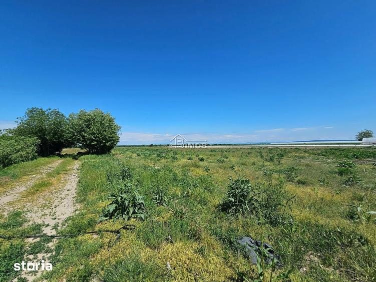 Teren de 10900 mp, în Băleni