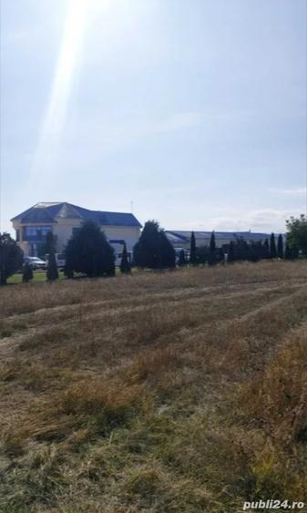 Teren de 350 mp, în Dumbrava