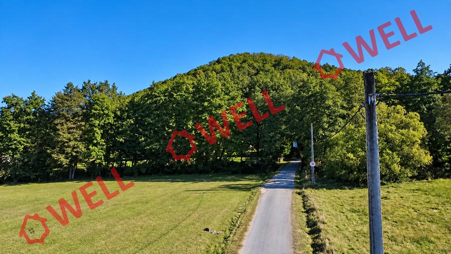 Teren extravilan de 16800 mp, în Bățanii Mici