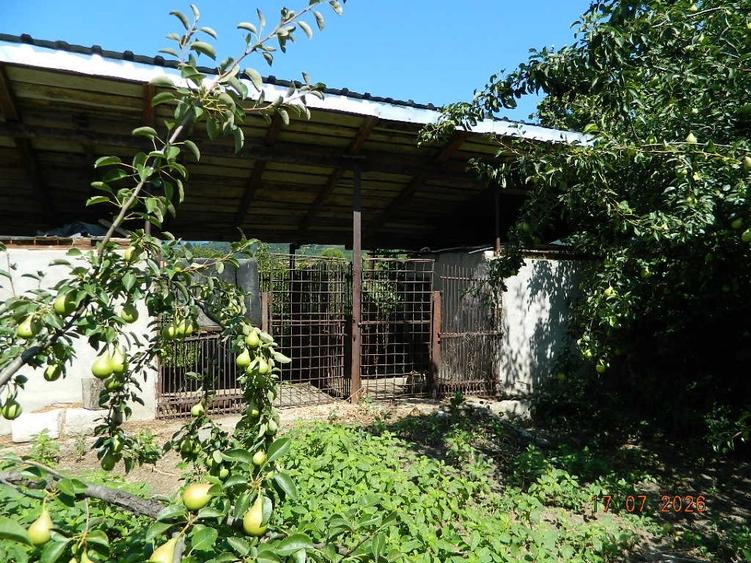 Casă cu 3 camere cu Canalizare în Jiblea Veche