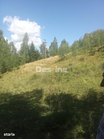 Teren de 3200 mp, în Moisei