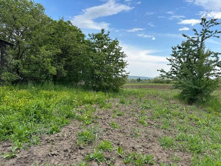 Casă cu 5 camere cu Teren 5000 Mp în Central