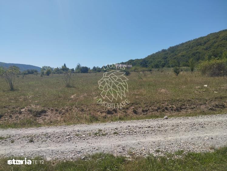 Teren intravilan 2900 mp cu utilitati-Zona MOL Viisoara - 3