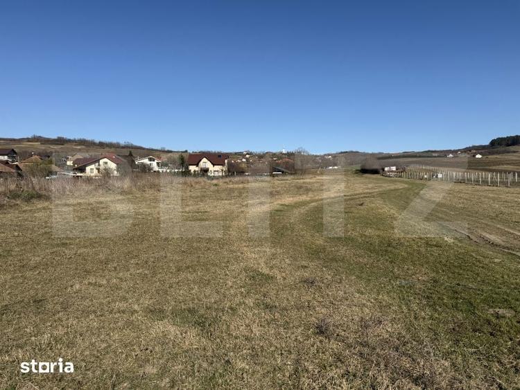 Teren intravilan in localitatea Hereclean in suprafata de 2900 mp - 2