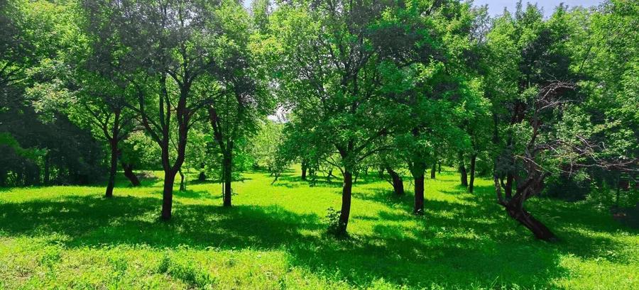 Teren Construcții intravilan de 9289 mp, în Breaza