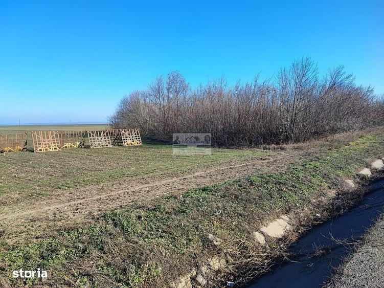 Spațiu comercial, în Tecuci