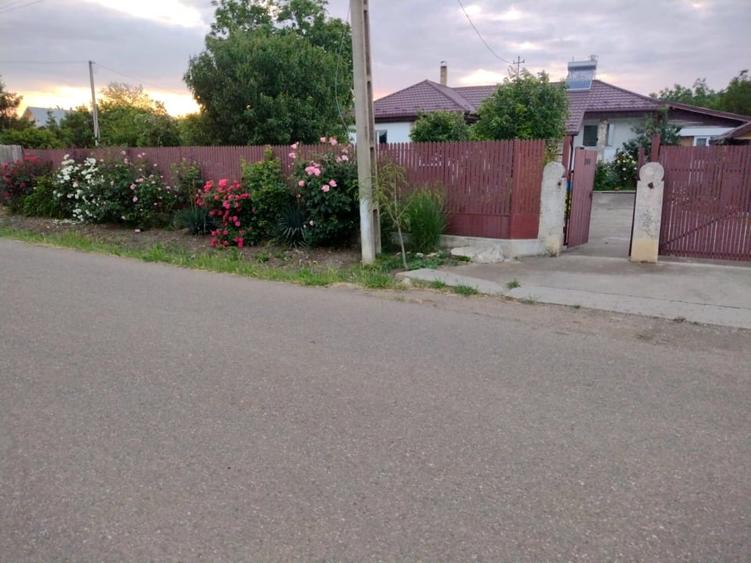 Casă individuală cu 3 camere cu Canalizare în Greceanca