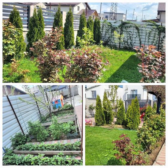 Casă cu 4 camere cu Teren 383 Mp în Albești