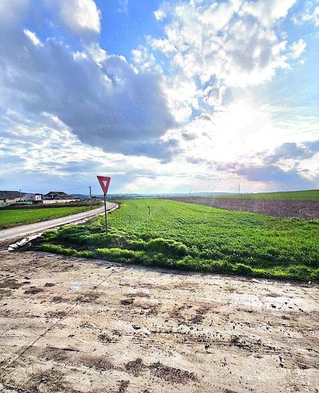 Teren de 4400 mp, în Dancu