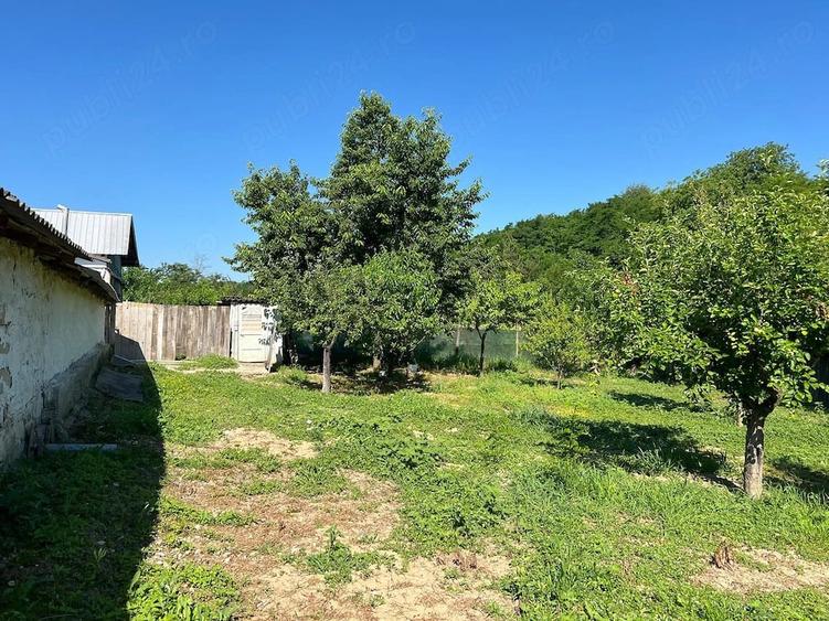 Casă cu Teren 1200 Mp în Central