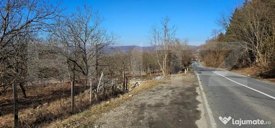 Teren de 30 de ari, Dumitra, 5km de Bistrita - 2