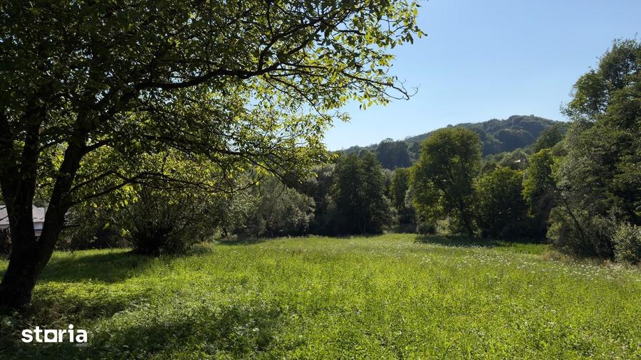 Teren Parau | Valea Danului, Curtea de Arges | Vidraru | - 11