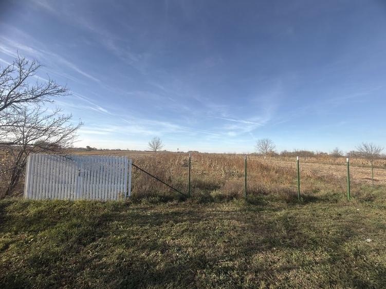 Teren de 2800 mp, în Micula