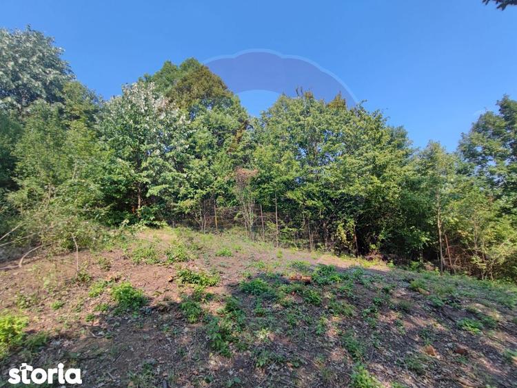 Teren de 756 mp, în Săsar