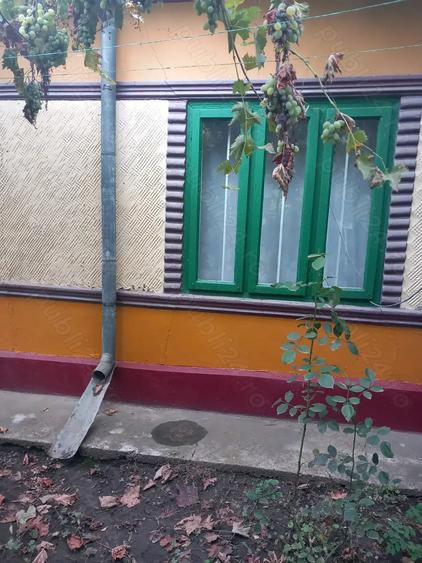Casă cu 3 camere cu Teren 1980 Mp în Silistraru