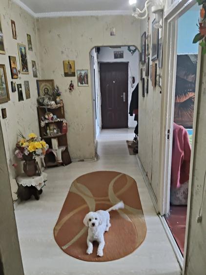 Apartament 3 camere zona Mega Mall - Pantelimon - 13