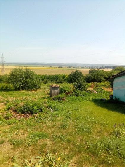 Casă cu Teren 8000 Mp în Gorban