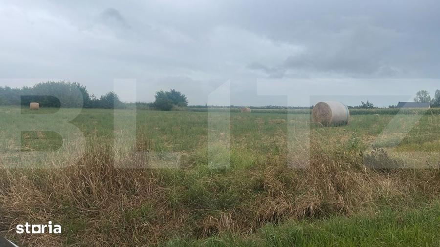 Teren de 20000 mp, în Hilișeu-Horia