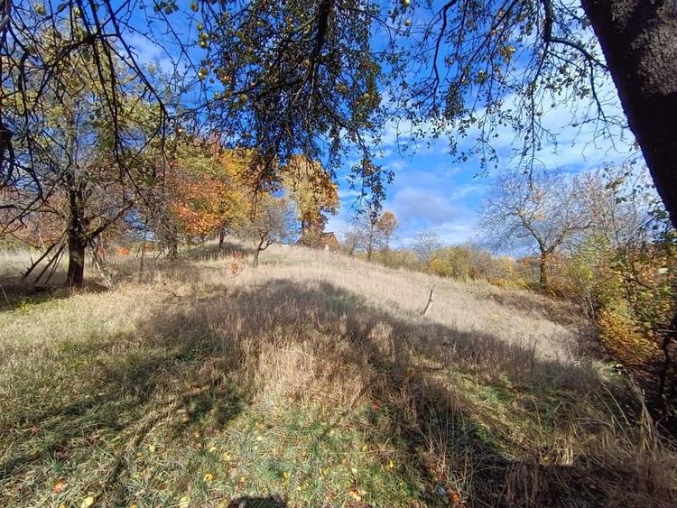 Casă individuală cu 2 camere cu Teren 4000 Mp în Cavnic