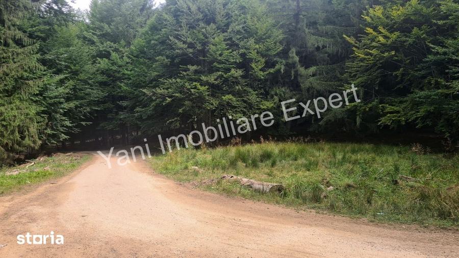 Teren de vanzare pe Transfagara?an, zona Molivi?u ( 69.450 mp ) - 6