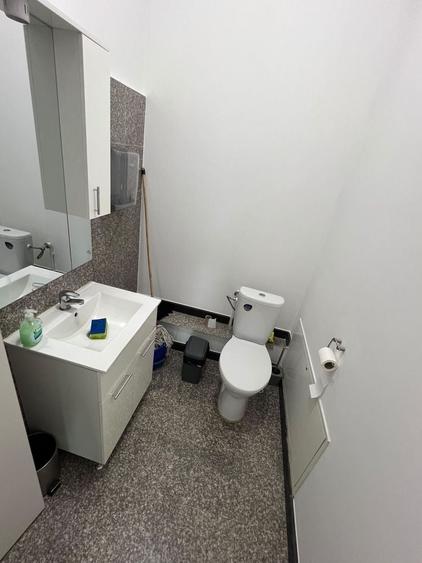 Spațiu comercial, de 50 mp, în Petru Rareș