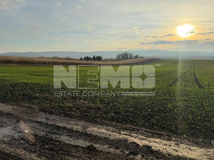 Teren agricol extravilan de 12400000 mp, în Grănicești