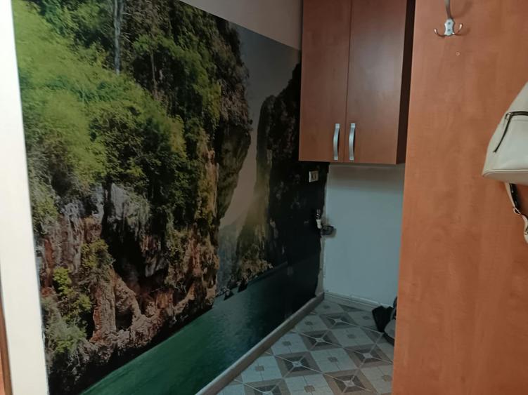 Apartament cu 2 camere decomandat, mobilat în Drumul Găzarului