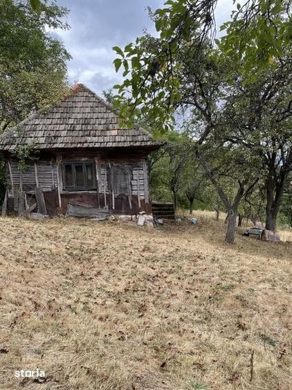 Vand teren, casa si grajd lemn Damis - 5