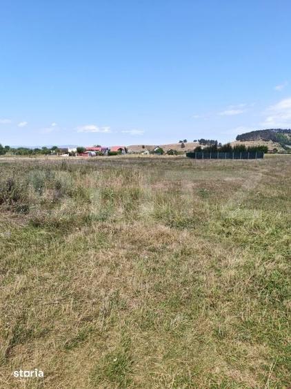 Oportunitate!!!! TEREN INTRAVILAN CU SUPRAFATA DE 1279 MP - 2