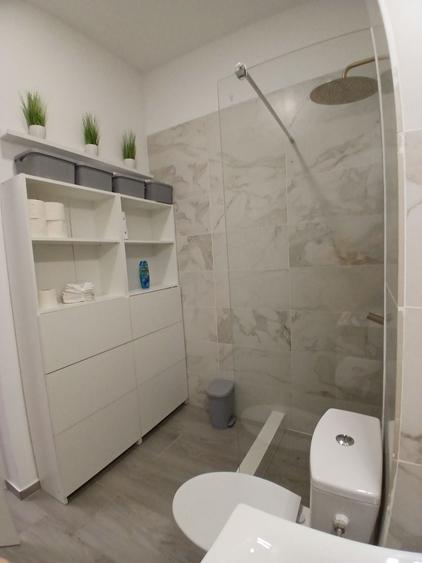 Apartament cu 2 camere semidecomandat în Florești