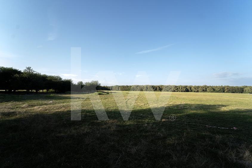 Teren agricol extravilan de 600 mp, în Cisnădie