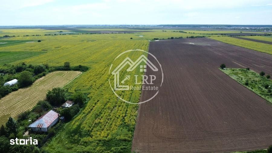 Teren de 15500 mp, în Dascălu